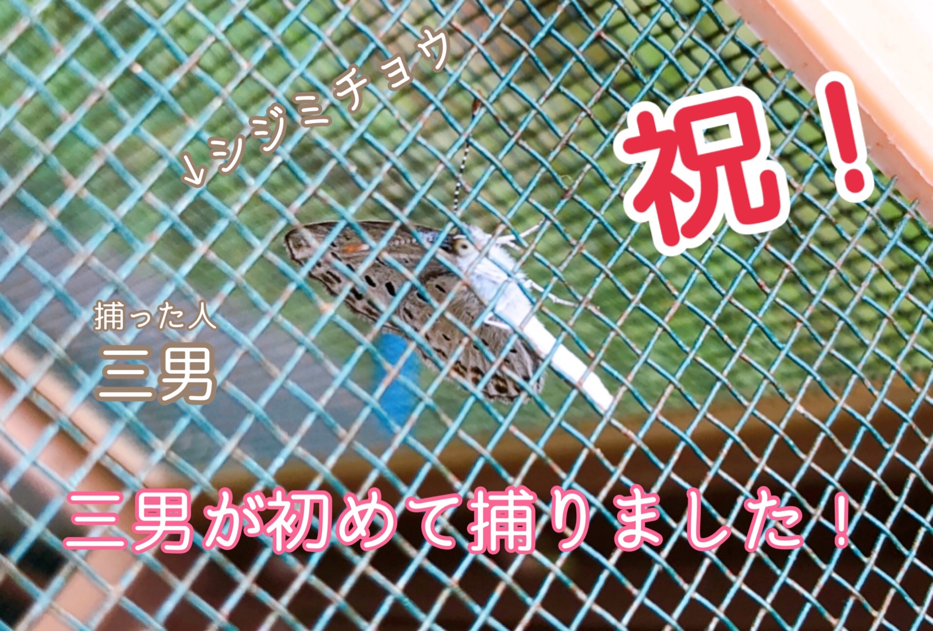 f:id:mana3bm:20210913225418j:image