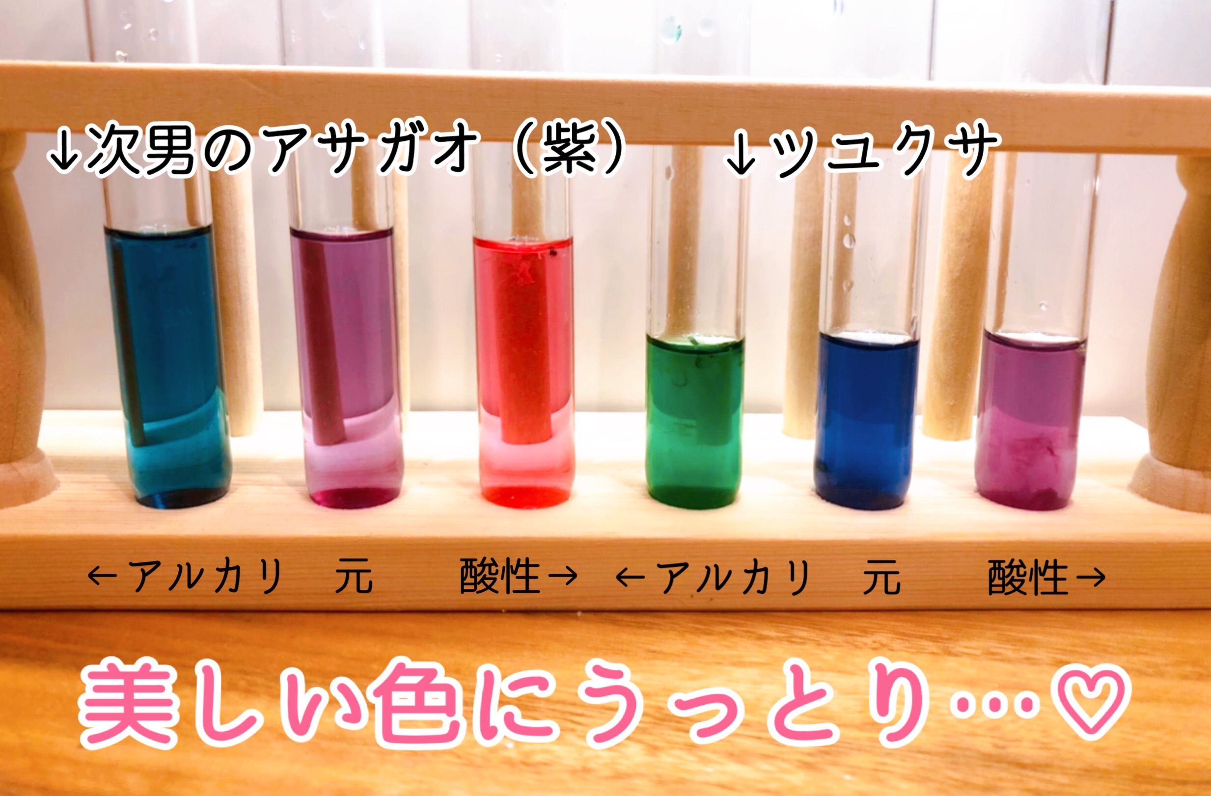 f:id:mana3bm:20210913225809j:image