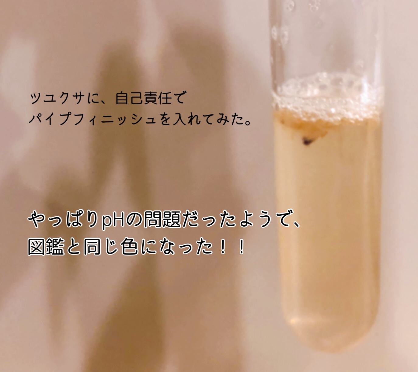 f:id:mana3bm:20210913235041j:image