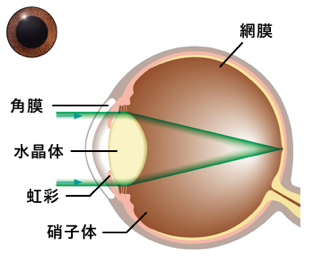 f:id:manabe-clinic:20210504152036p:plain