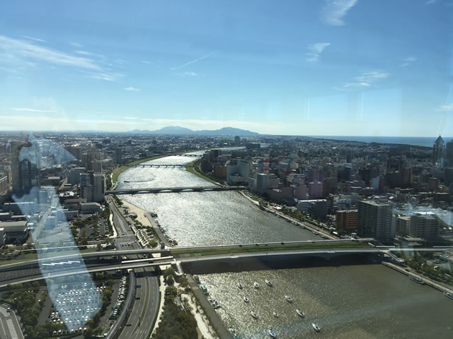 201610020217
