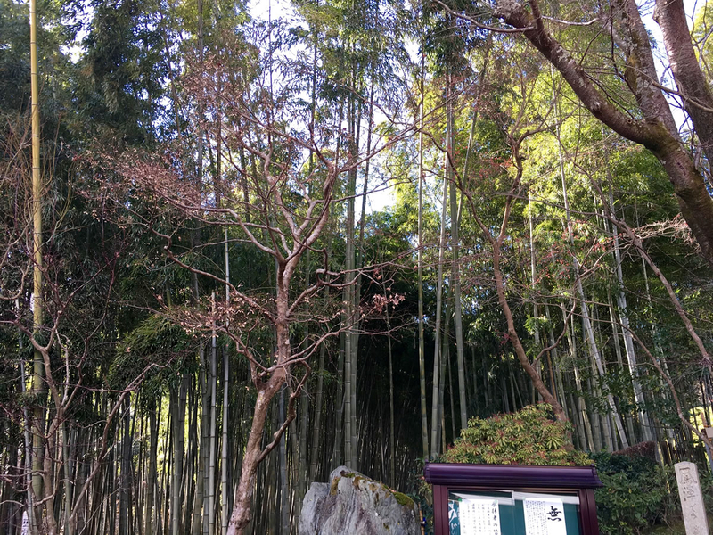 鈴虫寺・華厳寺