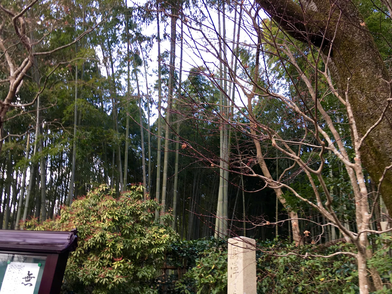 鈴虫寺・華厳寺