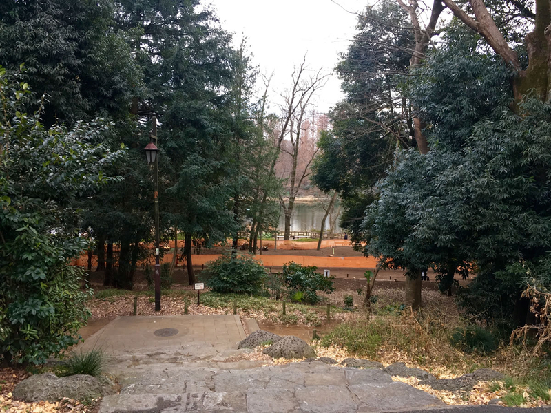 井の頭公園