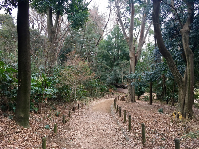 井の頭公園