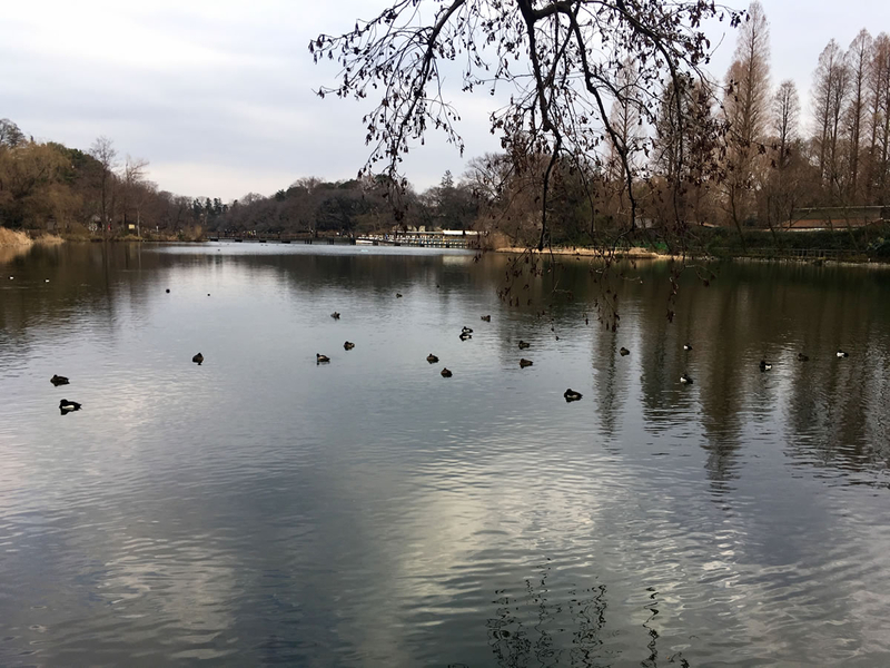 井の頭公園
