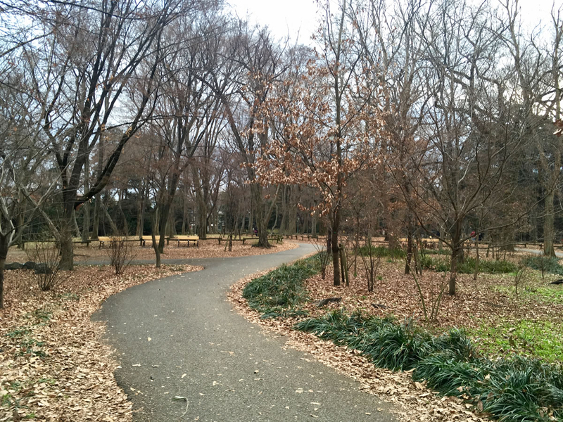 井の頭公園