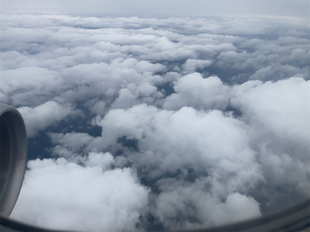 f:id:manabicollege:20230626203538j:image