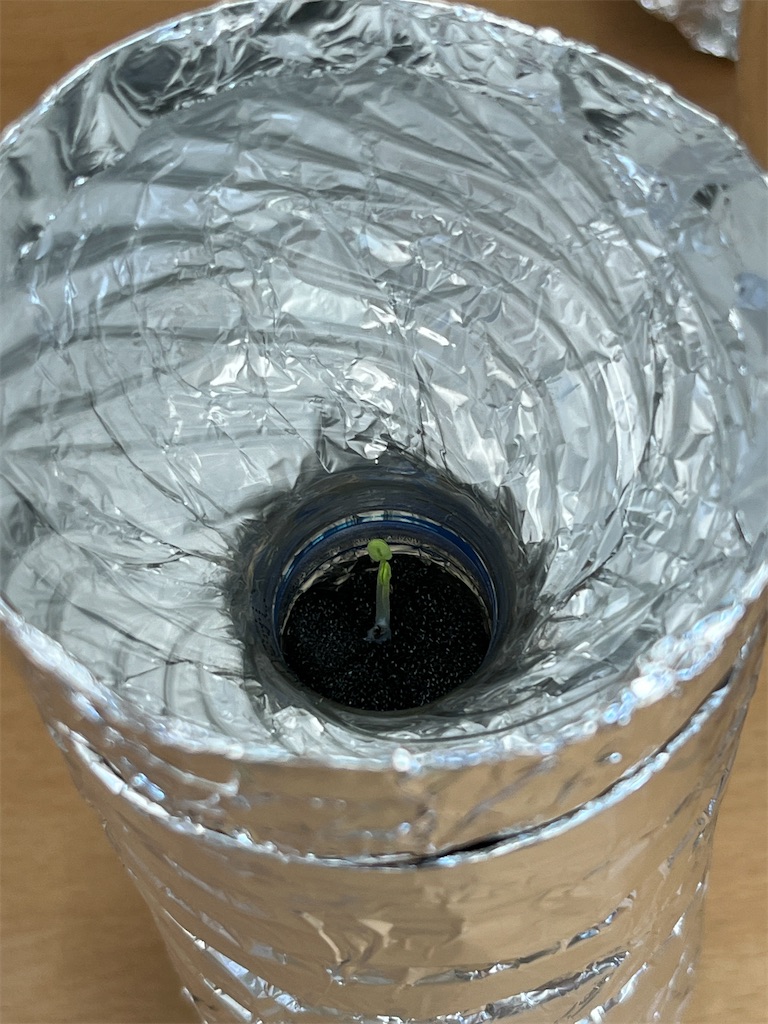 f:id:manabicollege:20250722233845j:image