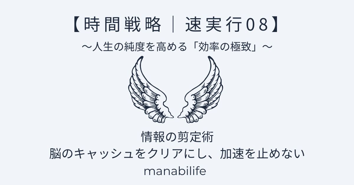 時間戦略:情報の剪定術
