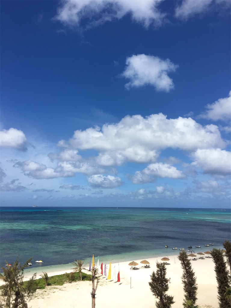 f:id:manabu_hosaka:20211012022450j:plain