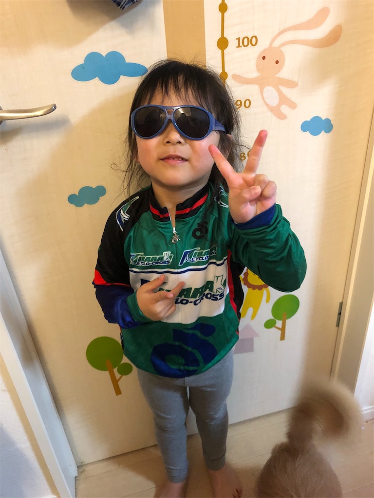 f:id:manabuhirao:20190331214353j:image