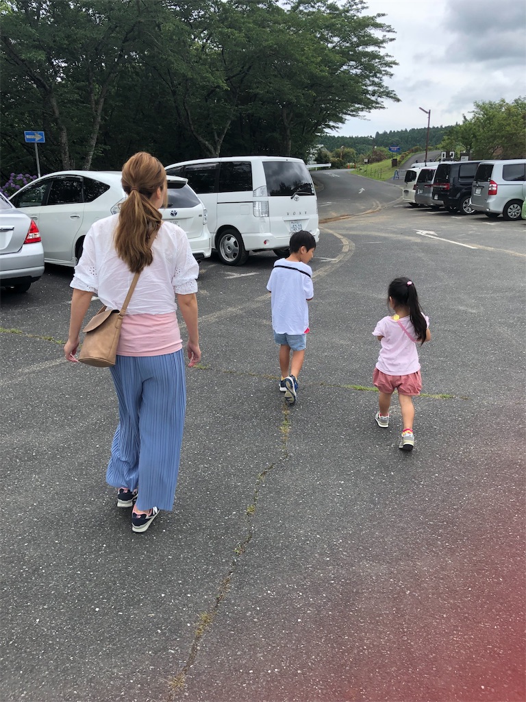 f:id:manabuhirao:20190713223829j:image f:id:manabuhirao:20190713223829j:image