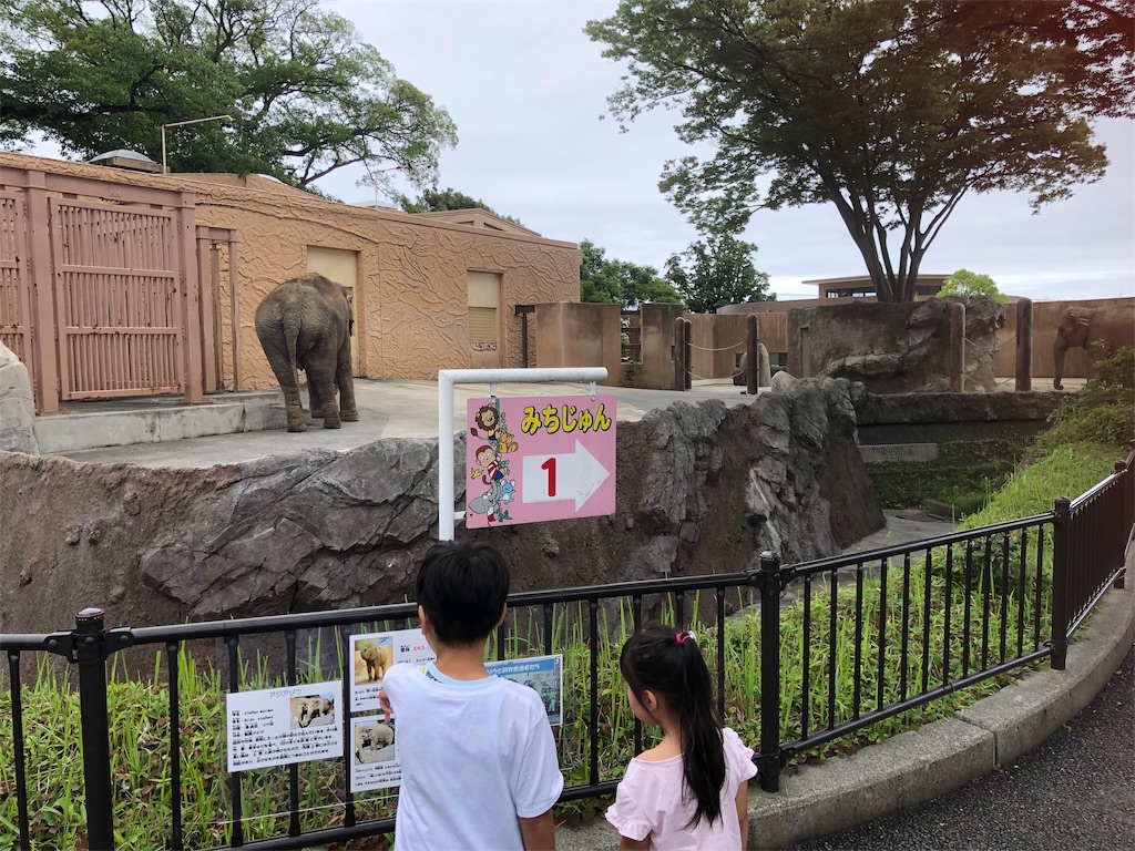f:id:manabuhirao:20190715220853j:image f:id:manabuhirao:20190715220853j:image