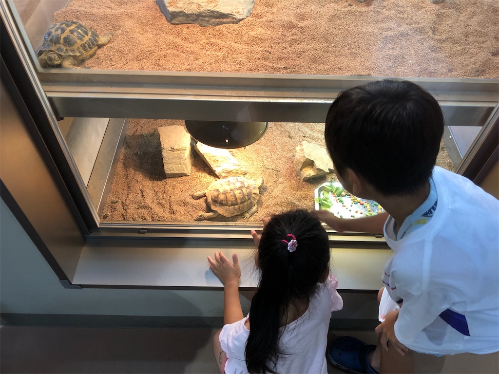 f:id:manabuhirao:20190715220941j:image f:id:manabuhirao:20190715220941j:image
