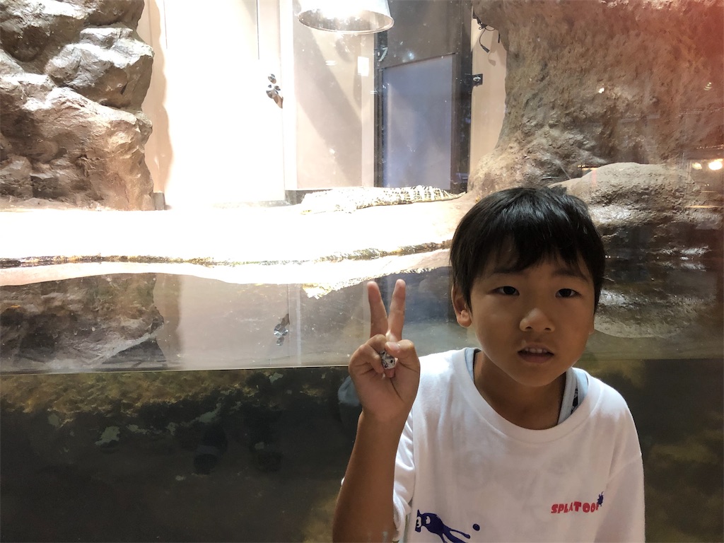 f:id:manabuhirao:20190715220956j:image f:id:manabuhirao:20190715220956j:image