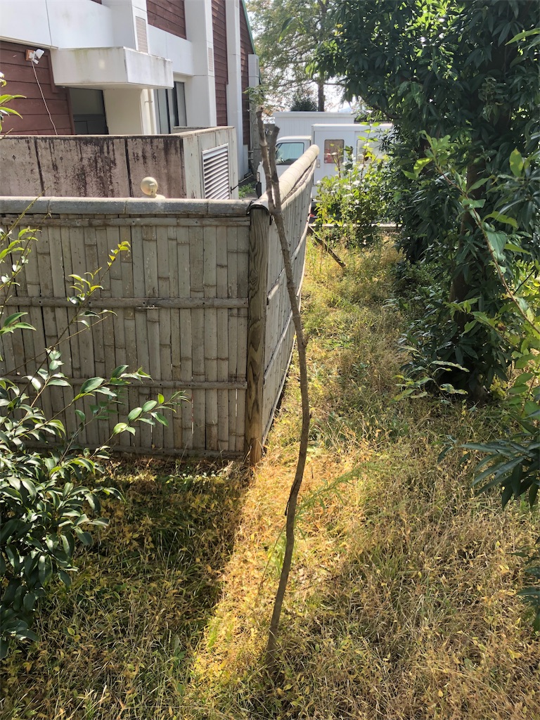 f:id:manabuhirao:20191101113024j:image