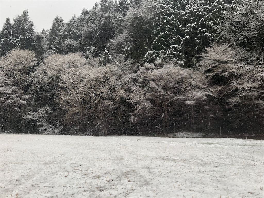 f:id:manabuhirao:20200317204356j:image