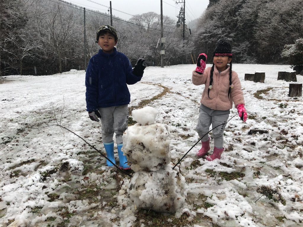 f:id:manabuhirao:20200317204434j:image