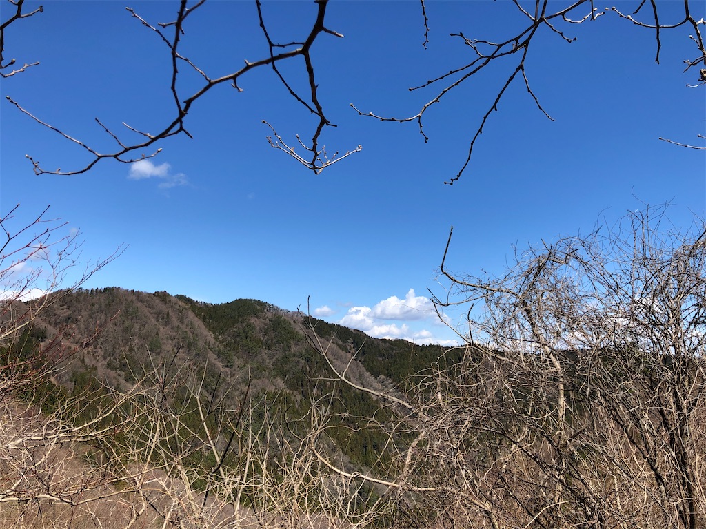 f:id:manabuhirao:20200327221934j:image