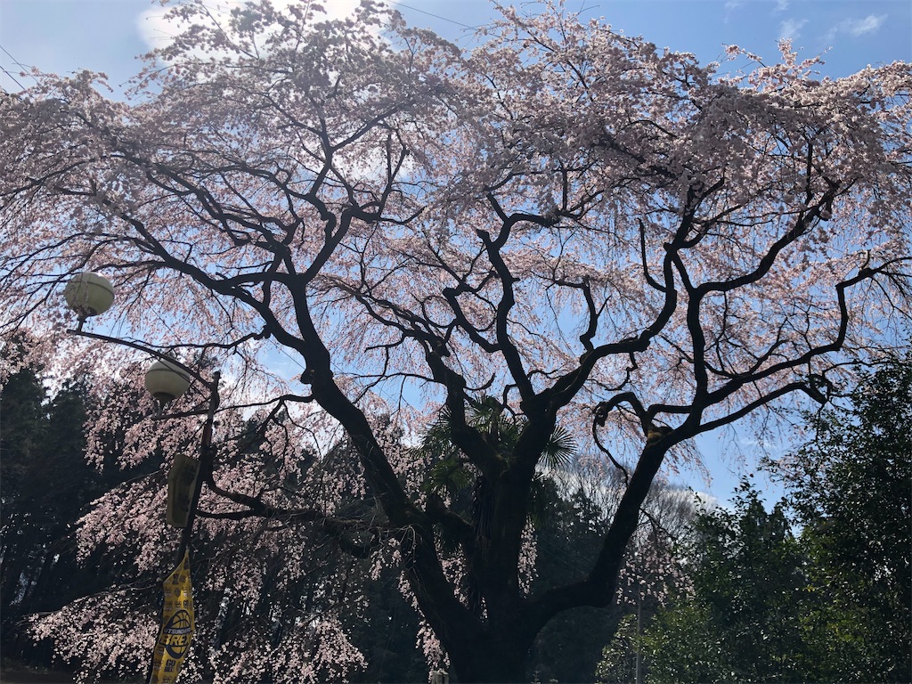 f:id:manabuhirao:20200329210425j:image