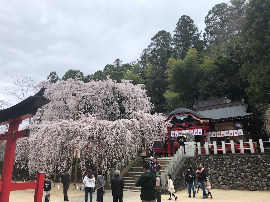 f:id:manabuhirao:20200329210716j:image