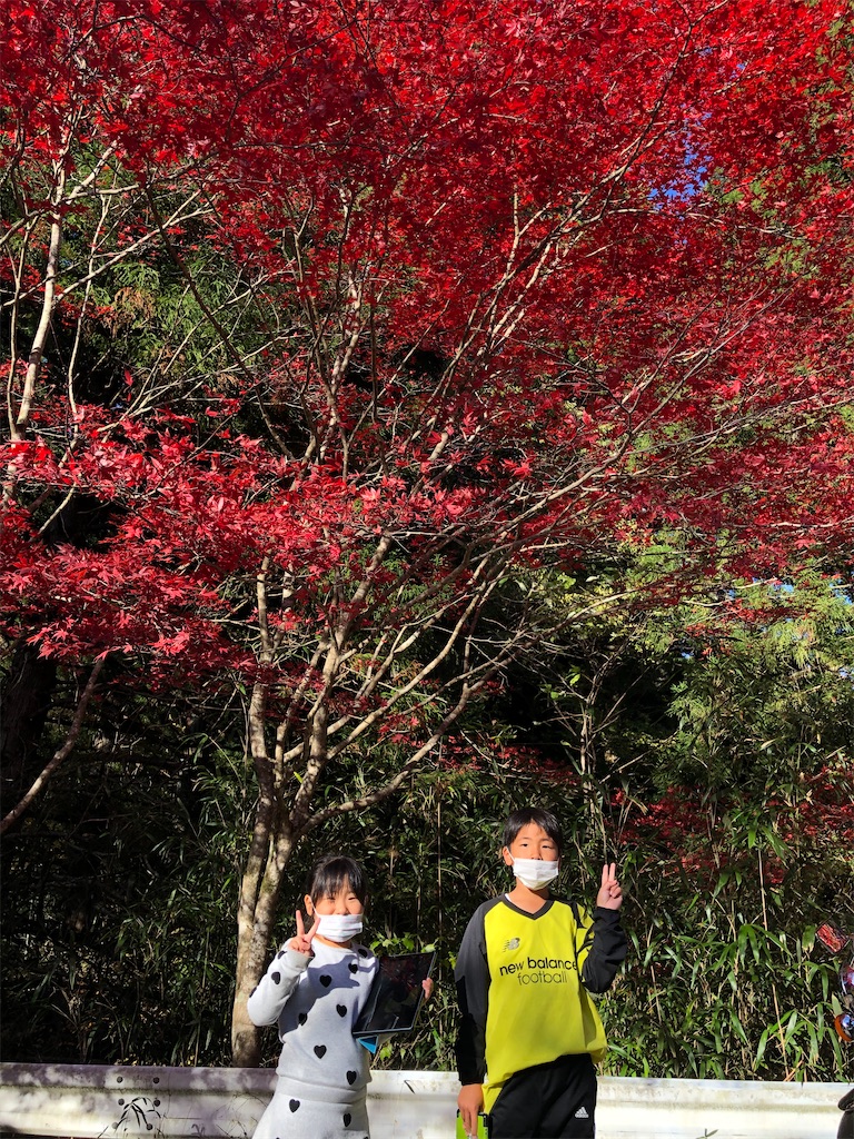 f:id:manabuhirao:20201115225106j:image