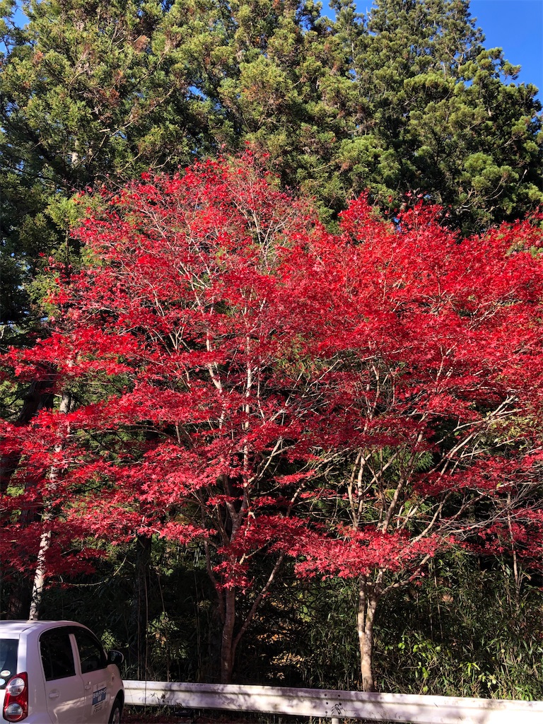 f:id:manabuhirao:20201115225110j:image