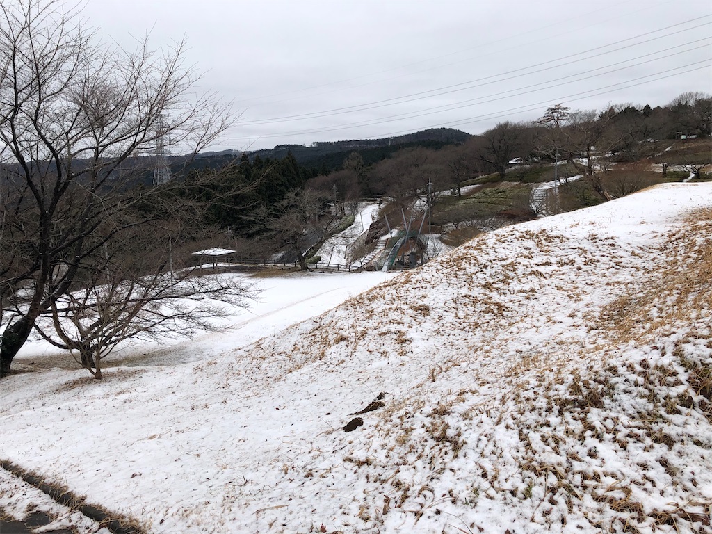 f:id:manabuhirao:20210116211230j:image