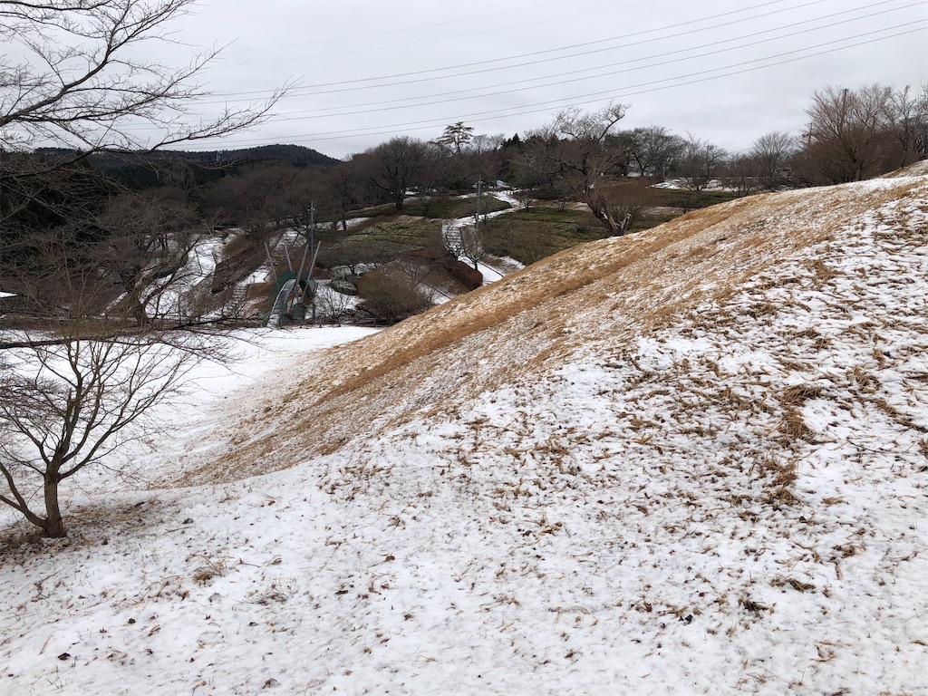 f:id:manabuhirao:20210116211233j:image