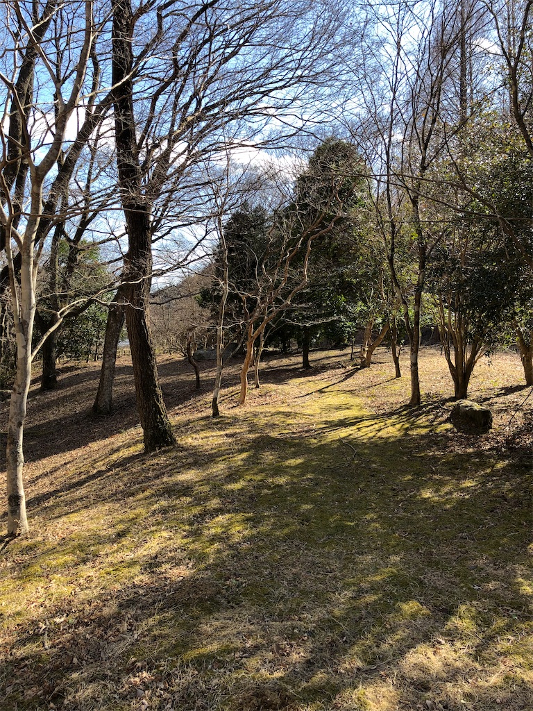 f:id:manabuhirao:20210212223838j:image