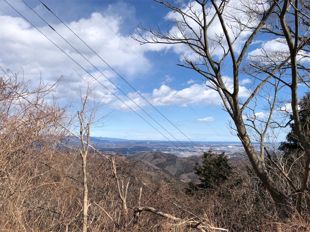 f:id:manabuhirao:20210218201910j:image