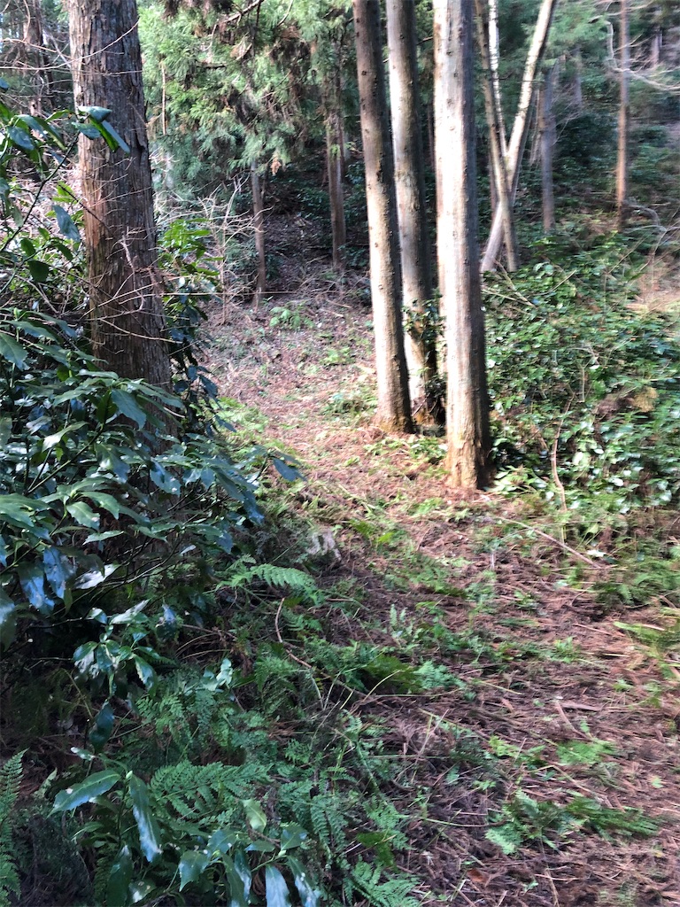 f:id:manabuhirao:20210220171021j:image