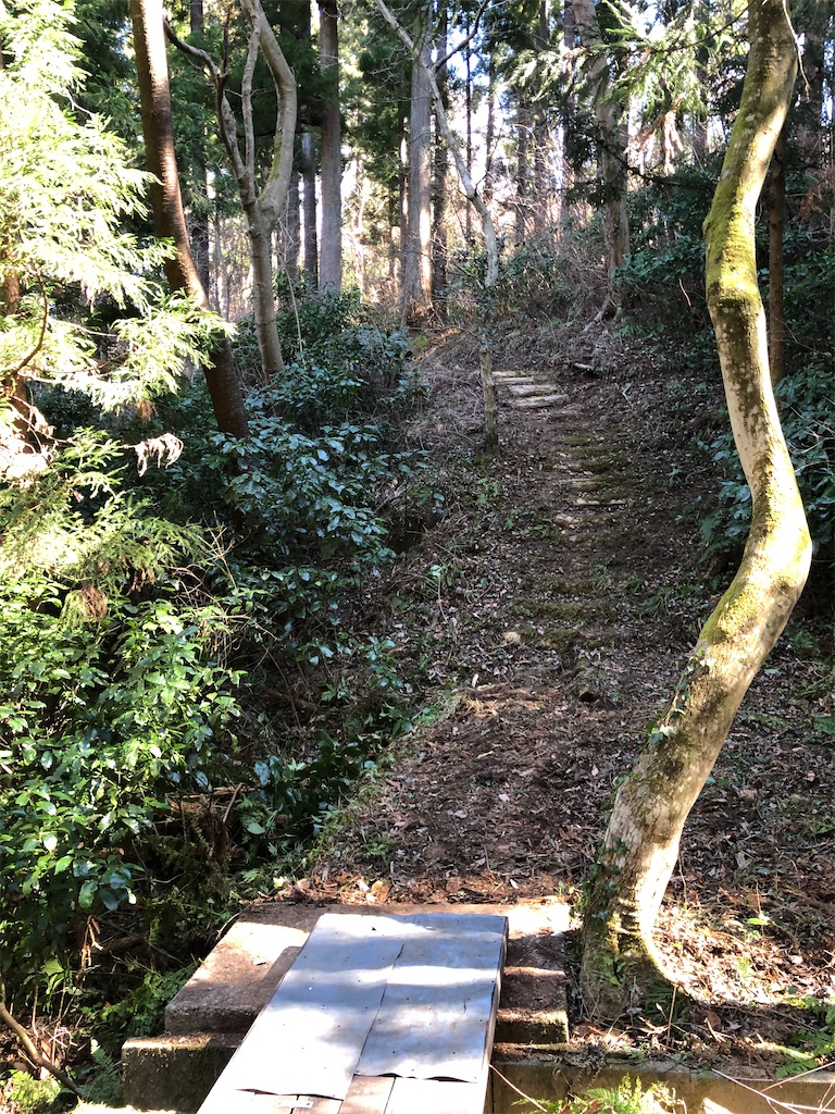 f:id:manabuhirao:20210220171024j:image