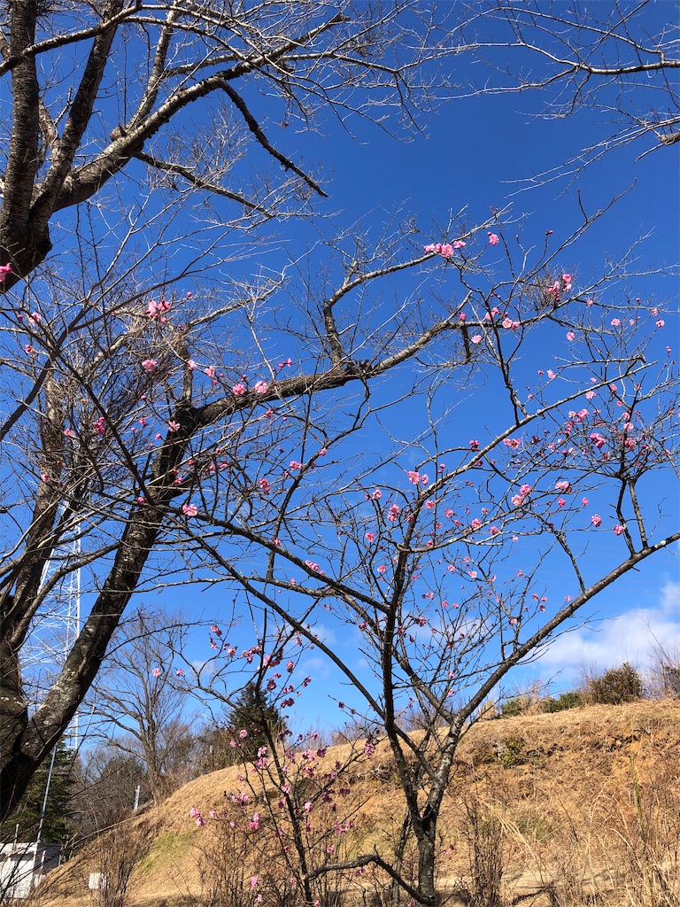 f:id:manabuhirao:20210220171028j:image