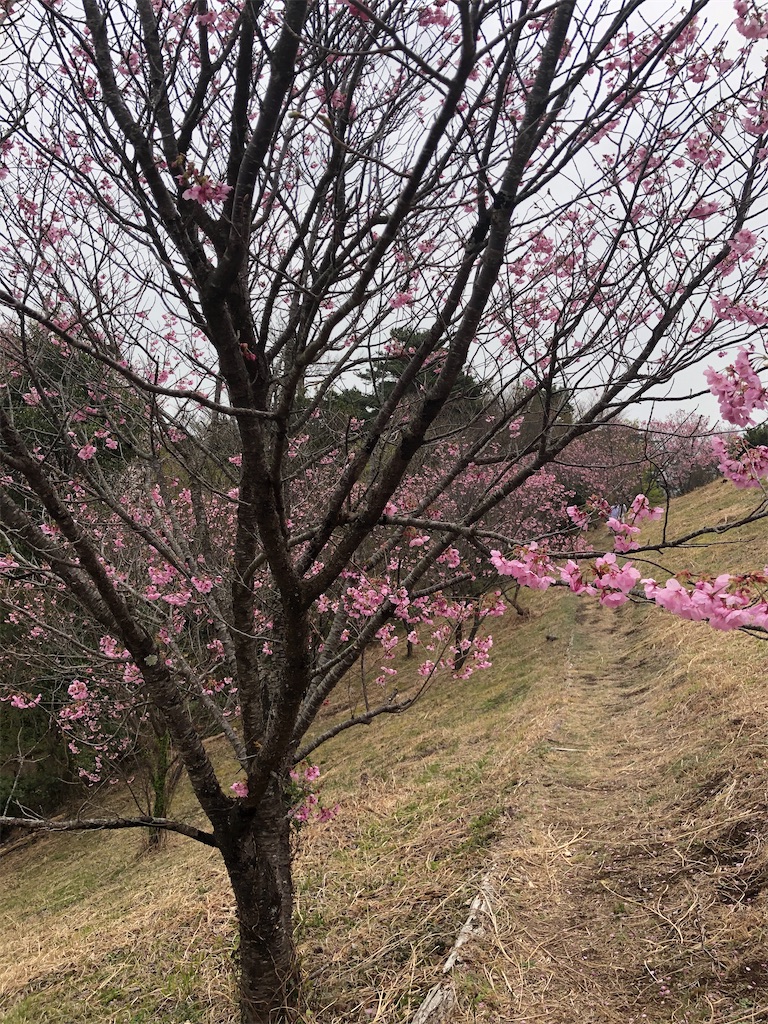 f:id:manabuhirao:20210401221135j:image