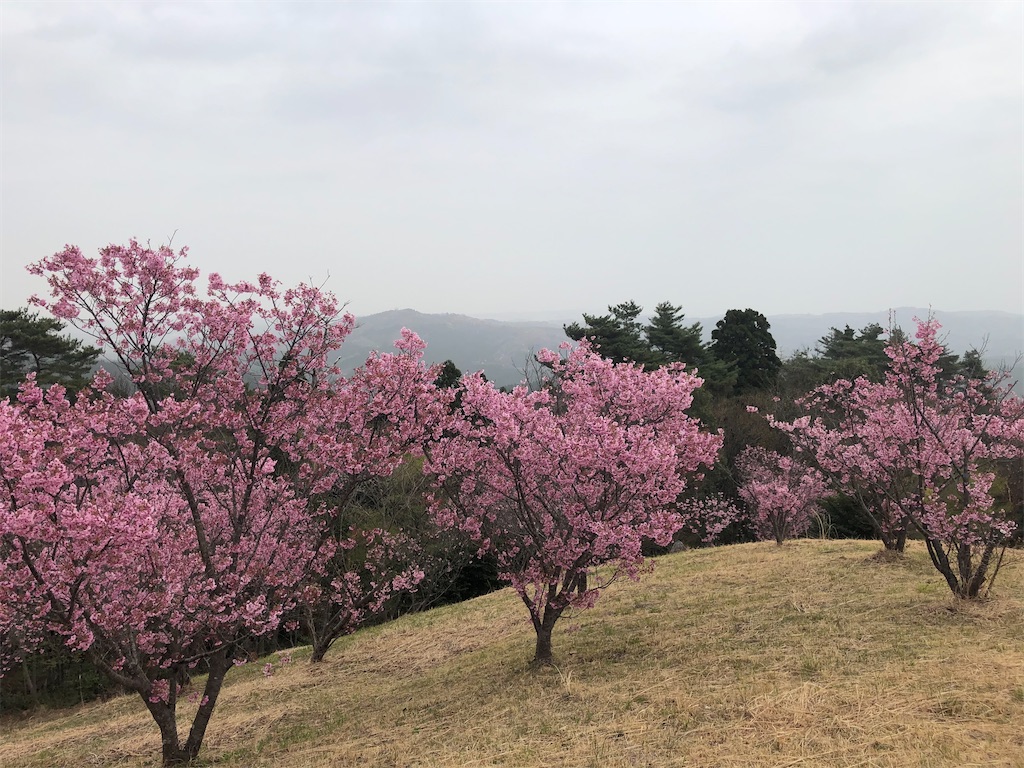 f:id:manabuhirao:20210401221139j:image