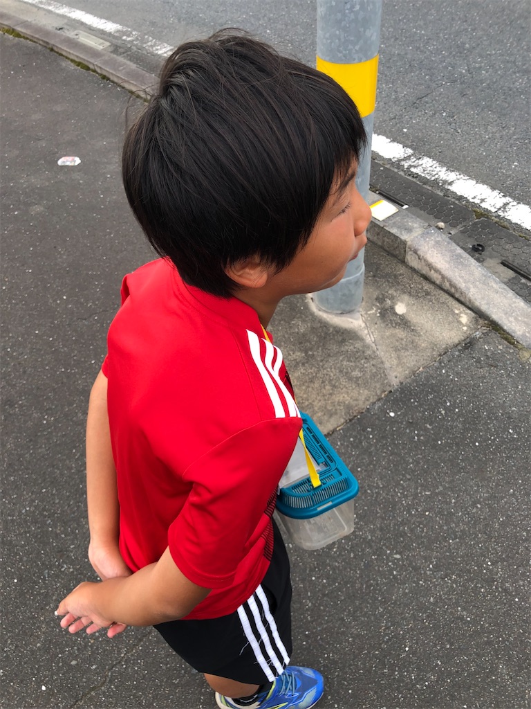 f:id:manabuhirao:20210727221941j:image