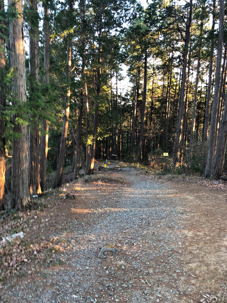 f:id:manabuhirao:20220112165232j:image