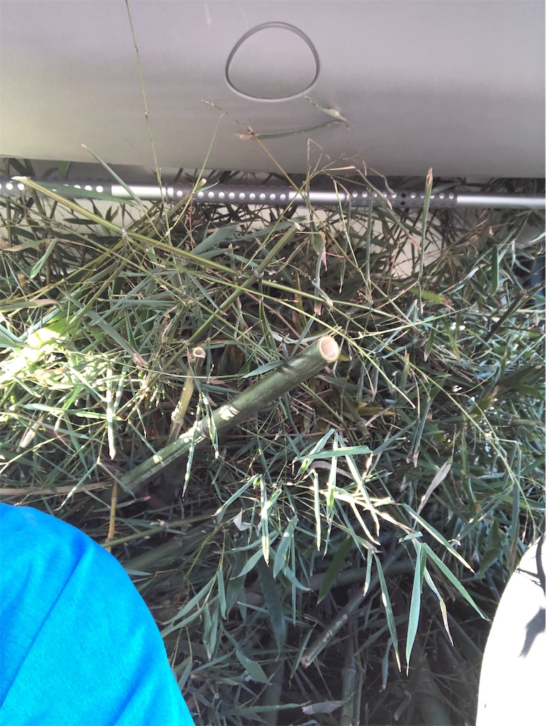 f:id:manabuhirao:20220202090728j:image f:id:manabuhirao:20220202090728j:image