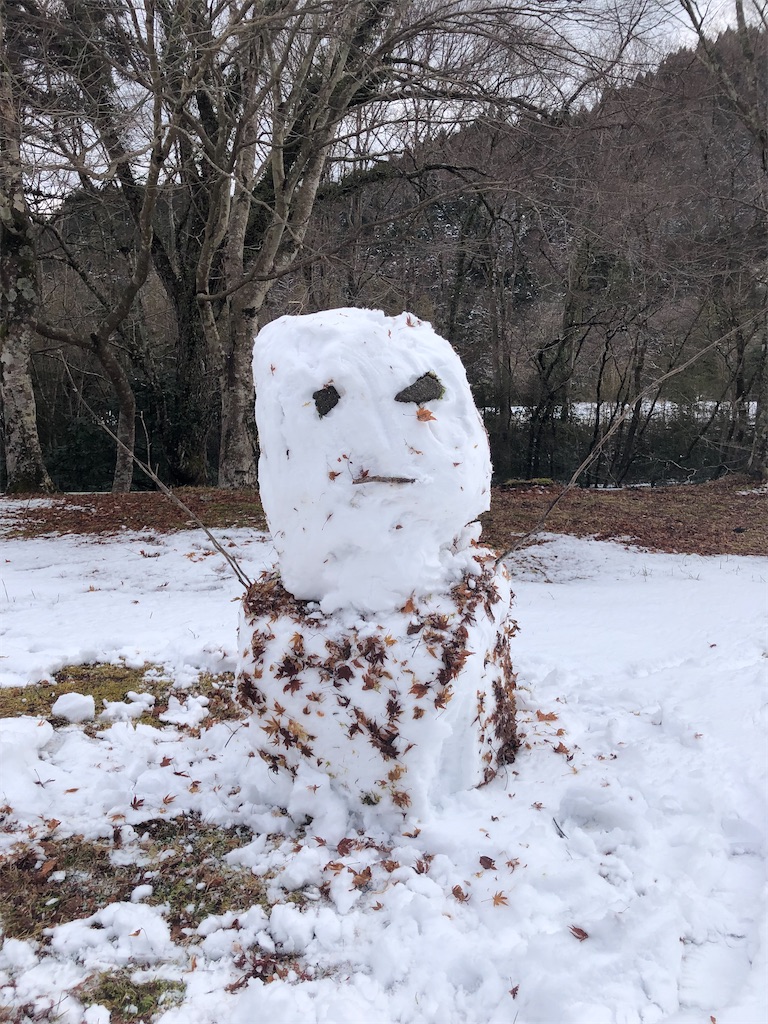 f:id:manabuhirao:20220215090946j:image f:id:manabuhirao:20220215090946j:image