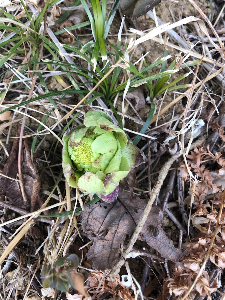 f:id:manabuhirao:20220224095238j:image f:id:manabuhirao:20220224095238j:image