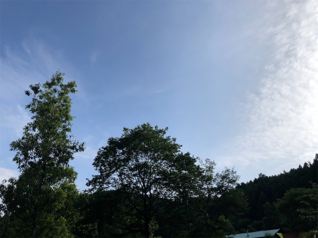 f:id:manabuhirao:20220728102925j:image