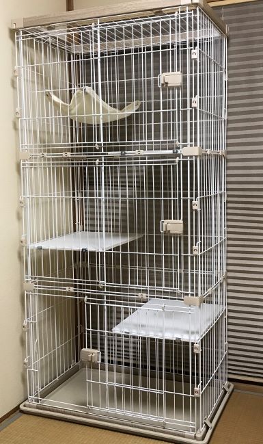 f:id:manadora:20210731170720j:plain