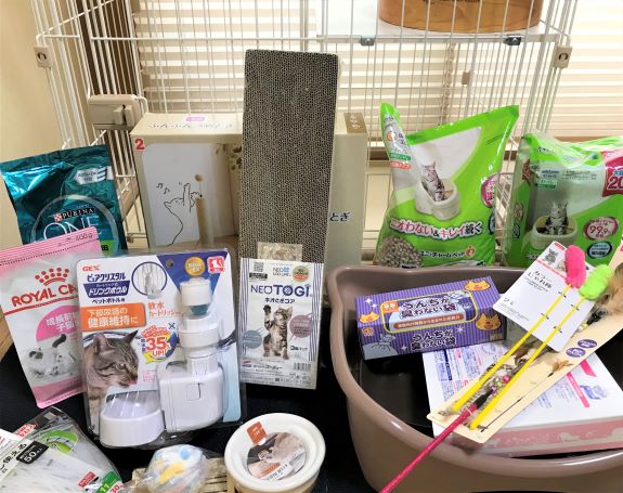 f:id:manadora:20210808100644j:plain