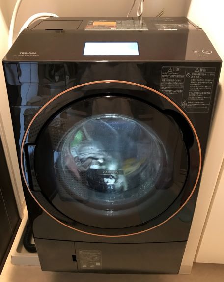 f:id:manadora:20210816114649j:plain