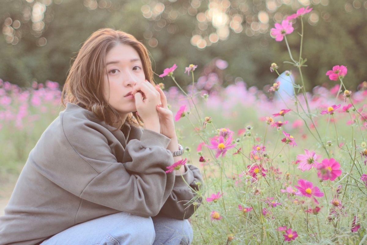 f:id:manahamchan:20191130193915j:plain