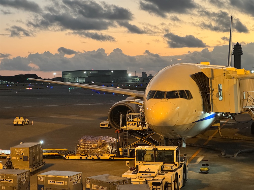 搭乗記】ANA国内線の最大機材777-300で那覇へ//NH475 B777-300 普通席