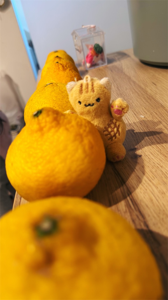 f:id:manakyu:20250302171149j:image