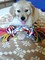 Alex(2005-05-29-02)